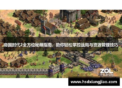 帝国时代2全方位秘籍指南，助你轻松掌控战局与资源管理技巧